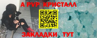 PSILOCYBIN Камышлов