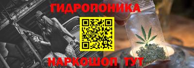 PSILOCYBIN Камышлов
