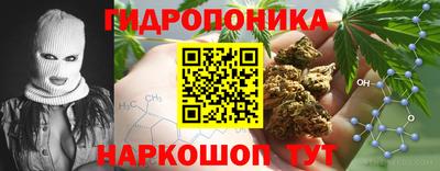 ALPHA PVP Канаш